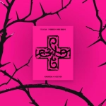 Альбом TXT - 7TH YEAR: A Moment of Stillness in the Thorns (PPULBATU Ver)