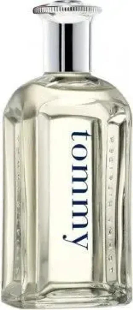 Мужская туалетная вода Tommy Hilfiger Tommy EDT 100 мл