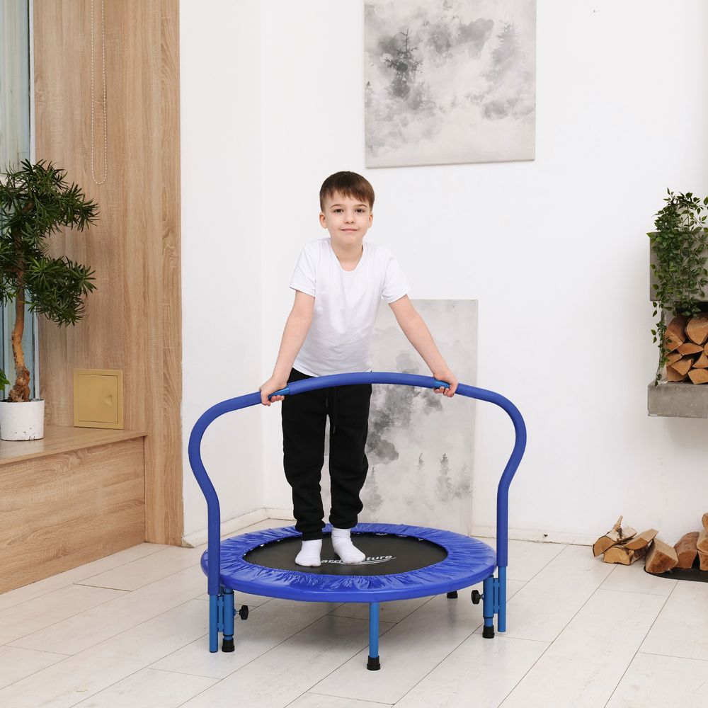 Батут с поручнем DFC Gardenature 36&#39;&#39; синий