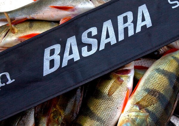 Спиннинги Basara, тест драйв