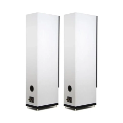Radiotehnika Gamma 3.03 White Ash напольная профессиональная акустическая система (пара)