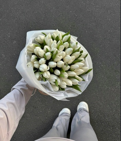 51 белый тюльпан