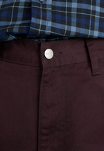 Carhartt WIP DENISON - Тканевые брюки - Коричневый