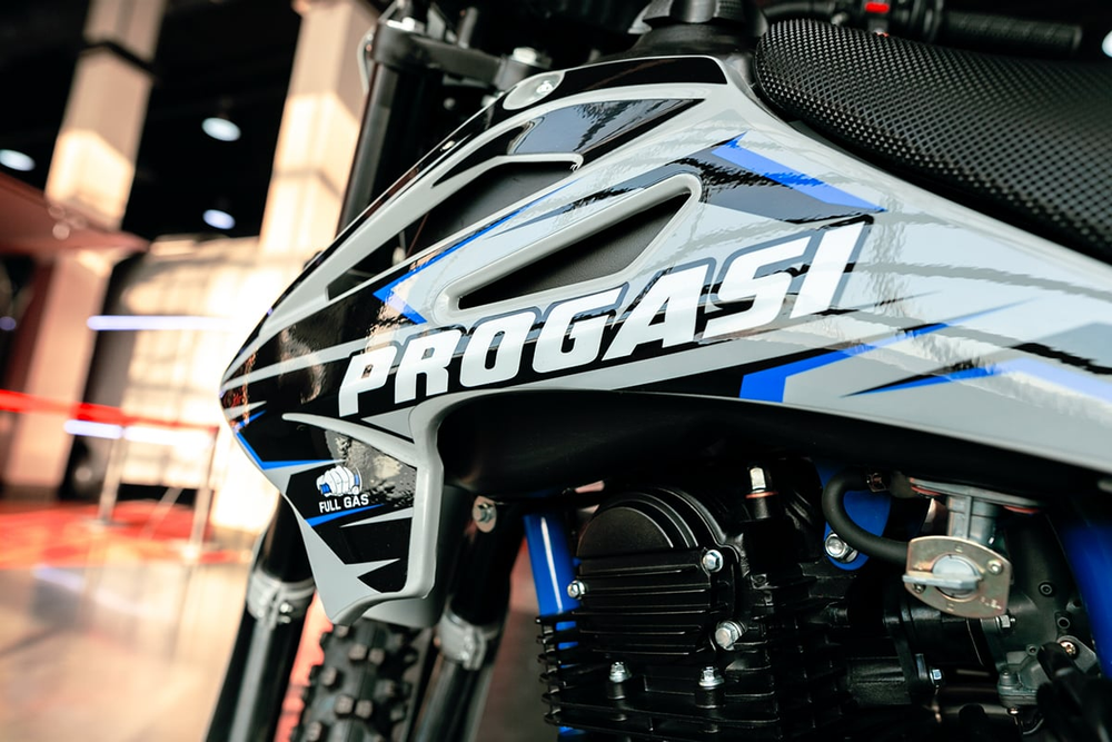 Мотоцикл кроссовый эндуро PROGASI Palma 300