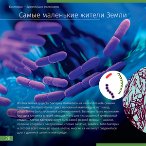 Книга знаний «Невидимый мир»