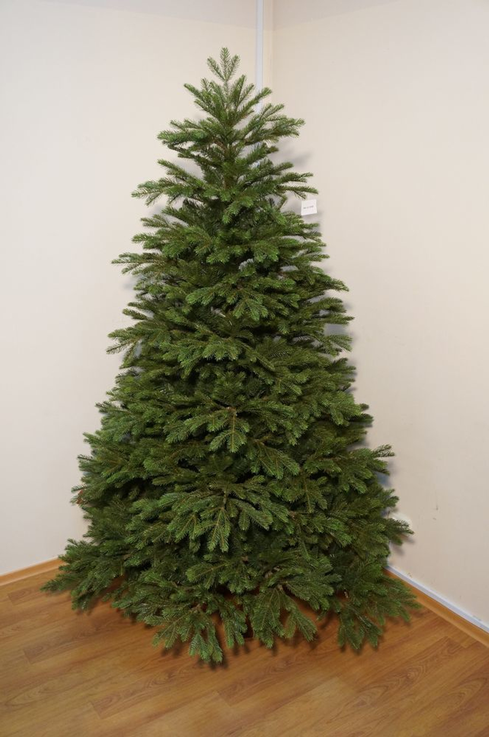 Ель 155 см Black Box Коттеджная Голландия вид