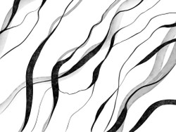 Коллекция MINIMALISM