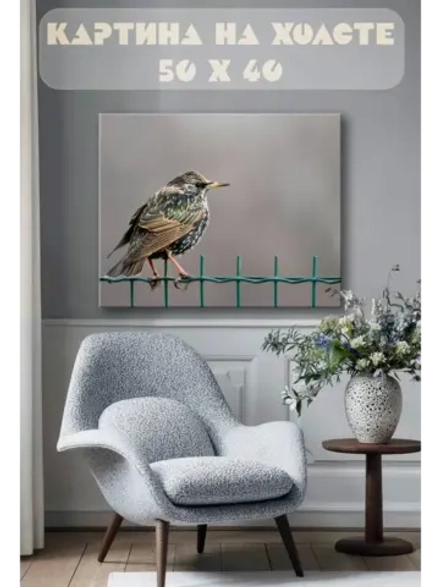 Картина на стену 40 X 50 Птица