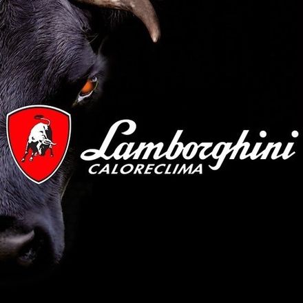 Lamborghini  - котлы, горелки, запасные части