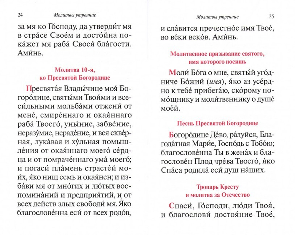 Молитвослов паломника (Молитвослов и Псалтирь)