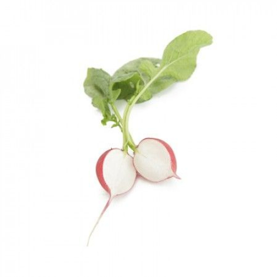 Мондиал F1 семена редиса (Rijk Zwaan / Райк Цваан) продукт – фото 2