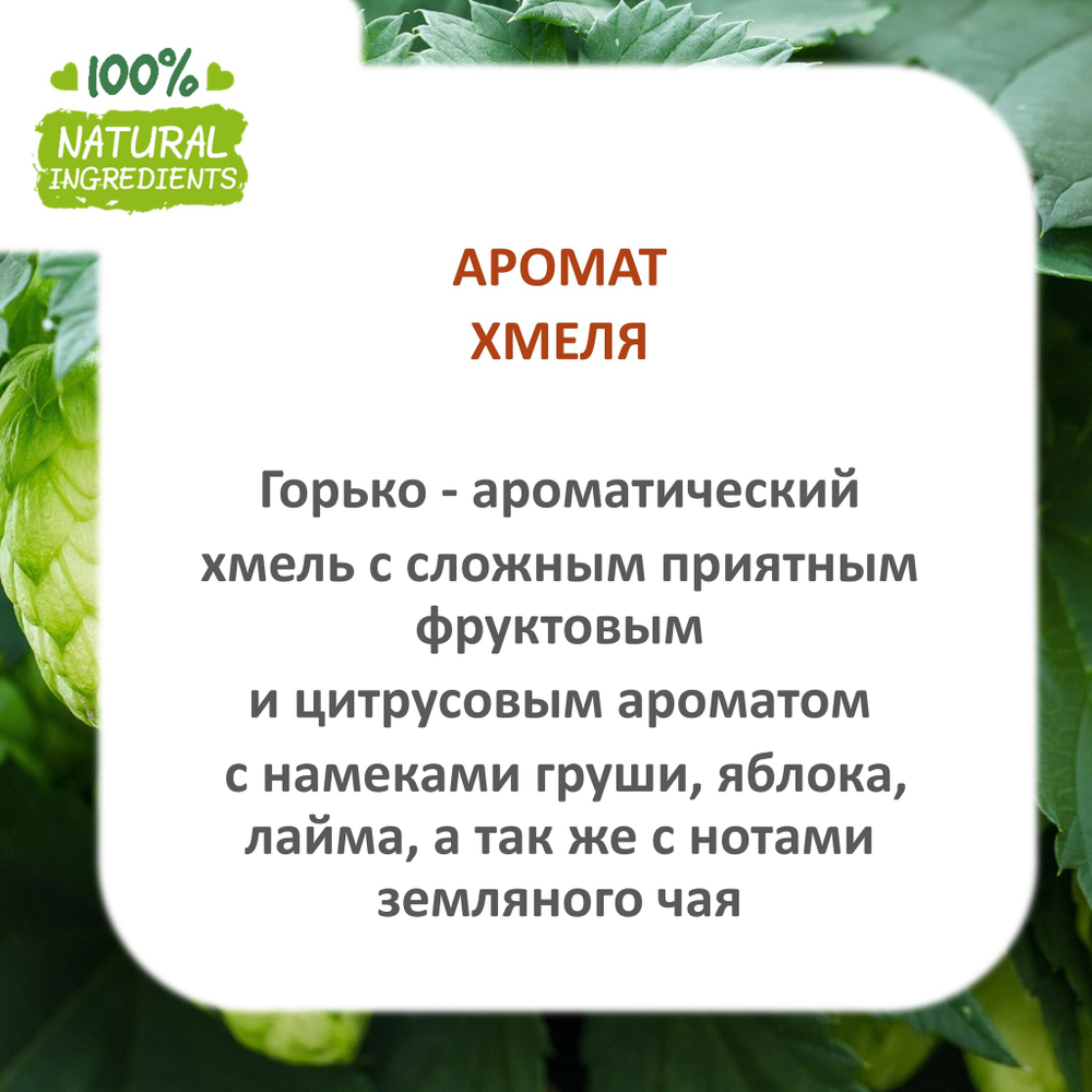 Хмель, отдушка для свечей и мыла