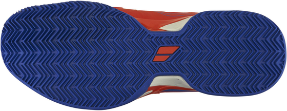 Кроссовки мужские Babolat Propulse Team Clay M, арт. 30S16446