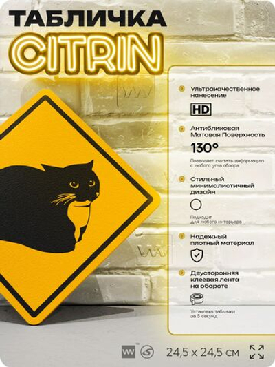Табличка мем "Кот Максвелл" шуточная прикольная табличка на дверь и стену, для офиса и дома, декоративный знак, 24,5х24,5 см, пластиковая, Айдентика Технолоджи
