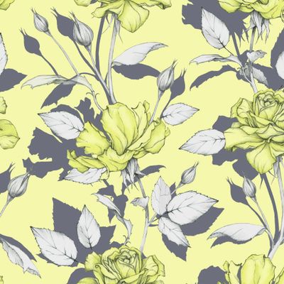 желтые розы