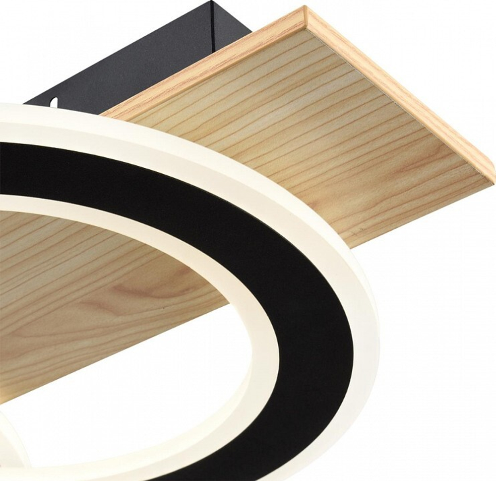 Накладной светильник Lumion PINE 8023/80CL