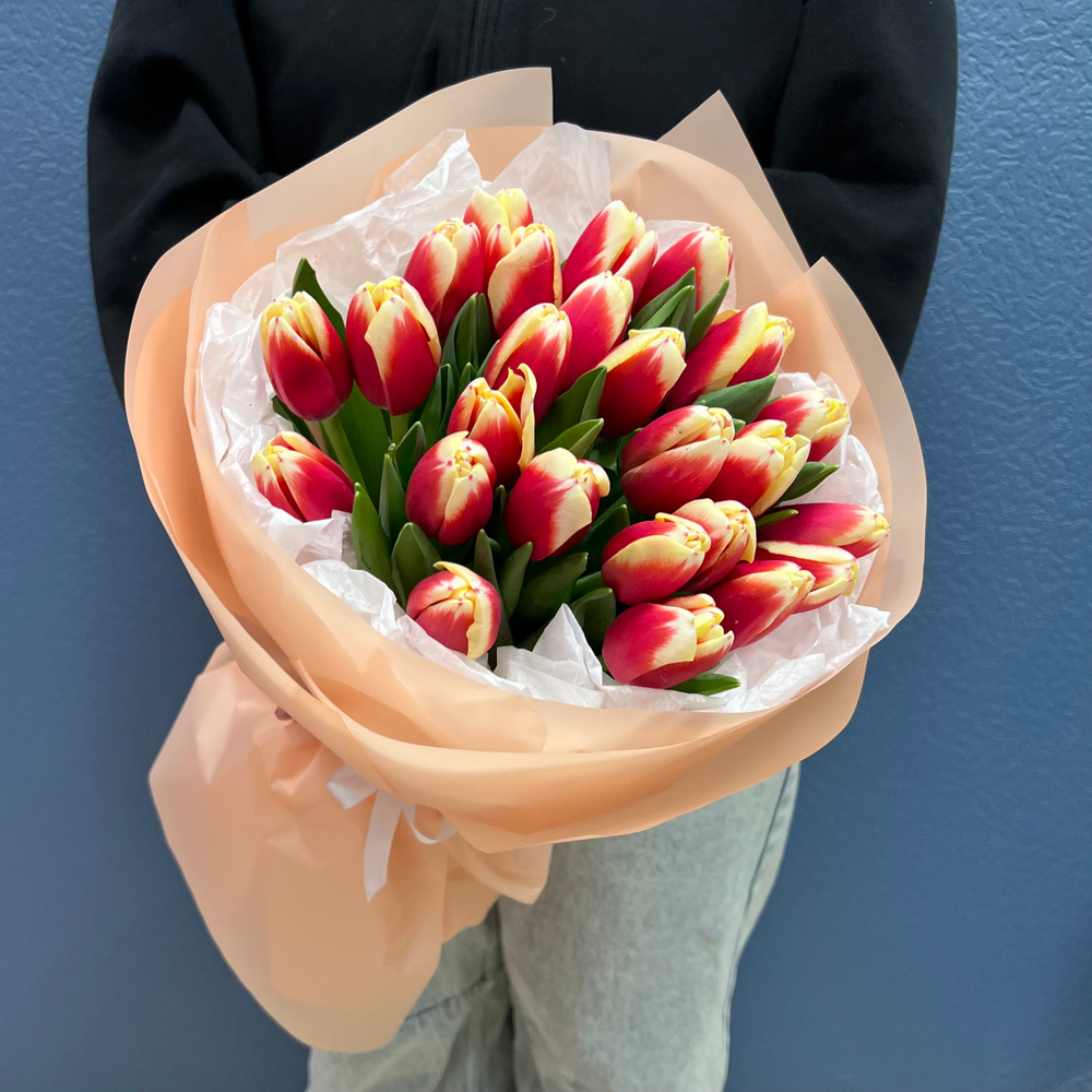 Букет свежих красно-белых тюльпанов