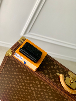 Louis Vuitton Zipped Organizer