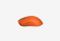 Shark X3 Orange_0426522101910