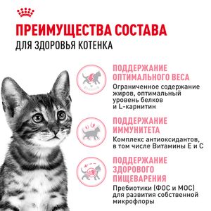 Сухой корм Royal Canin Kitten Sterilised для стерилизованных котят до 12 месяцев