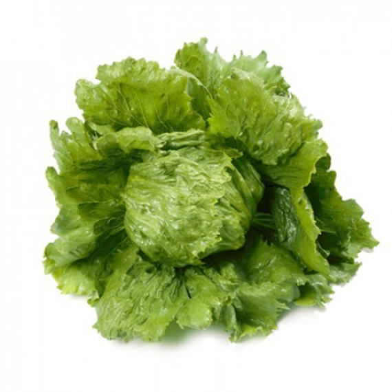 Диамантинас семена салата айсберг (Rijk Zwaan /ALEXAGRO) культура – фото 6