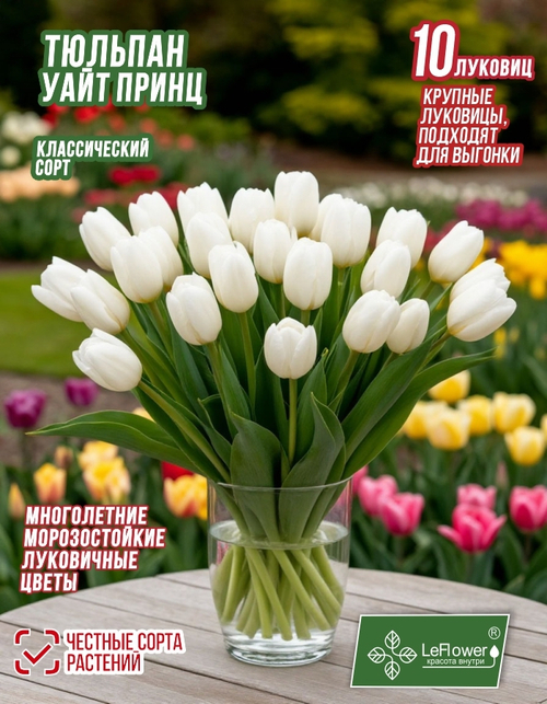 Тюльпан Луковица, Уайт Принц, 10шт крупные