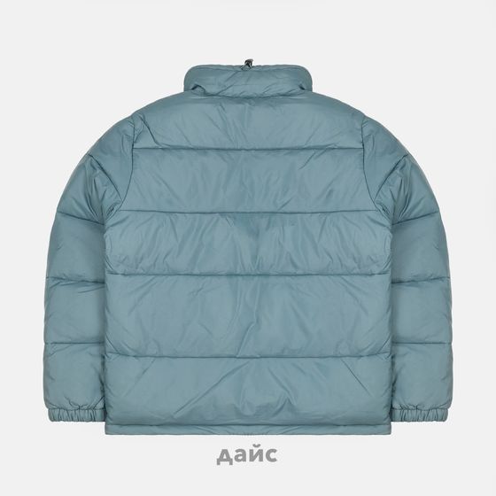 Пуховик мужской Dickies Waldenburg Jacket артикул:DK0A4XP20LN1 - купить в магазине Дайс