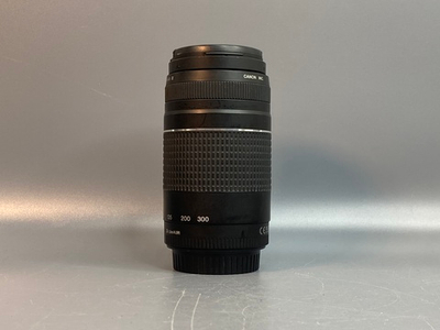 Canon EF 75-300mm 4-5.6 III