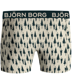 Мужские спортивные боксеры Björn Borg Core Boxer 2P - разноцветный