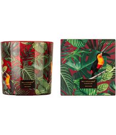 Wild Musk, свеча Jungletopia collection, Vila Hermanos