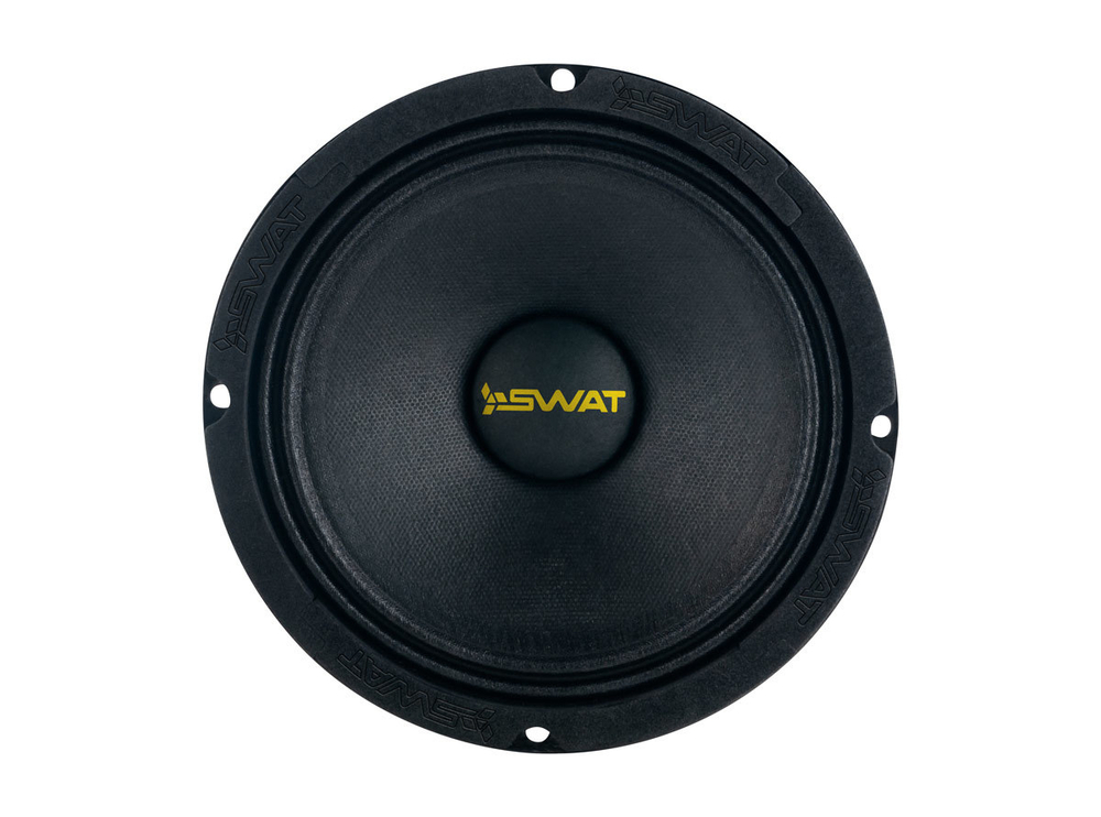 Динамик SWAT SBT-65 Pro - BUZZ Audio