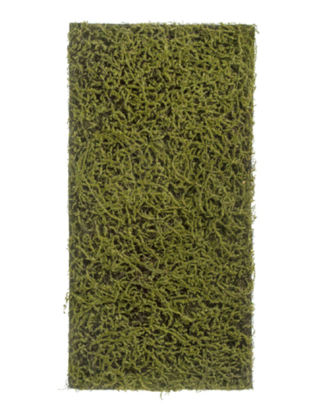 Мох Сфагнум Fuscum оливково-зелёный (полотно среднее)