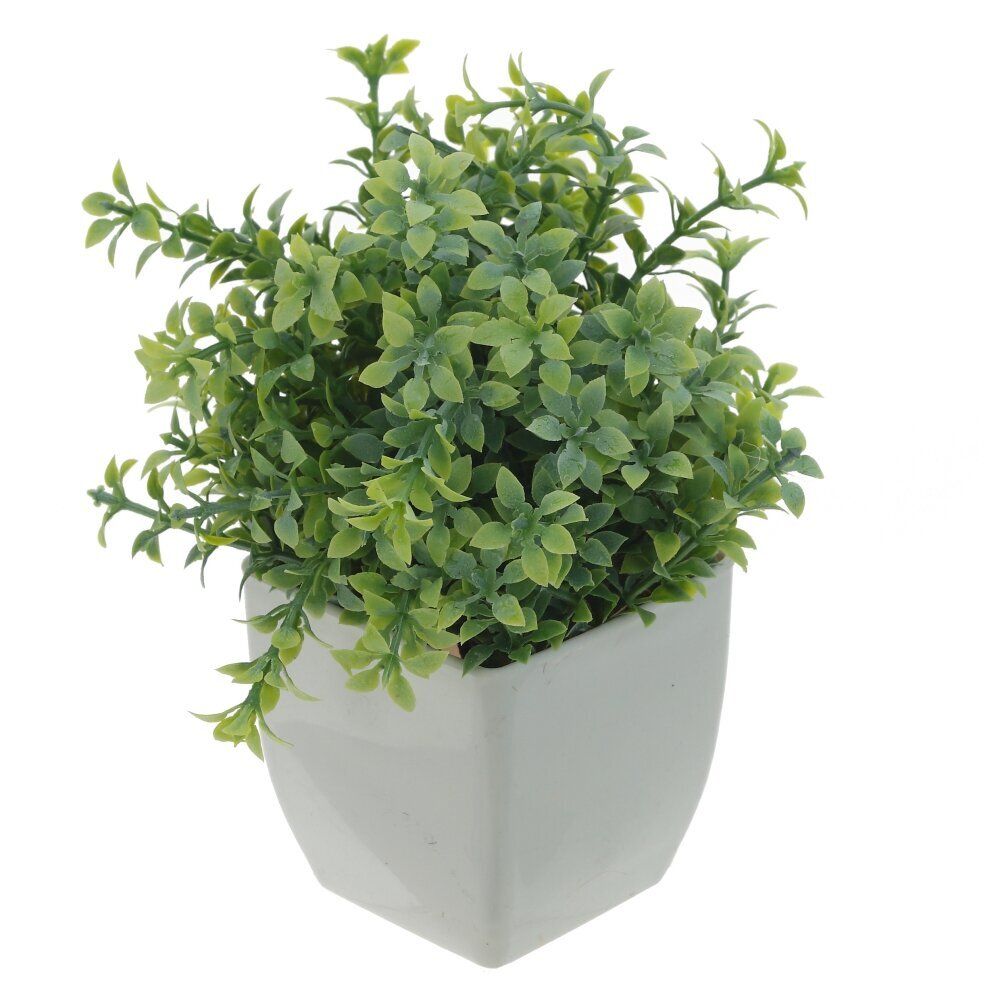 GAEM Цветочная композиция, L11 W11 H16 см, 3в.