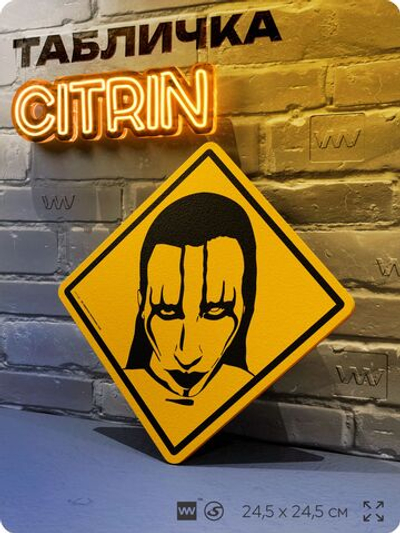 Табличка декоративная "Мэрилин Мэнсон, Marilyn Manson" на дверь и стену, прикольная штука в подарок, декоративный знак, 24,5х24,5 см, пластиковая, Айдентика Технолоджи