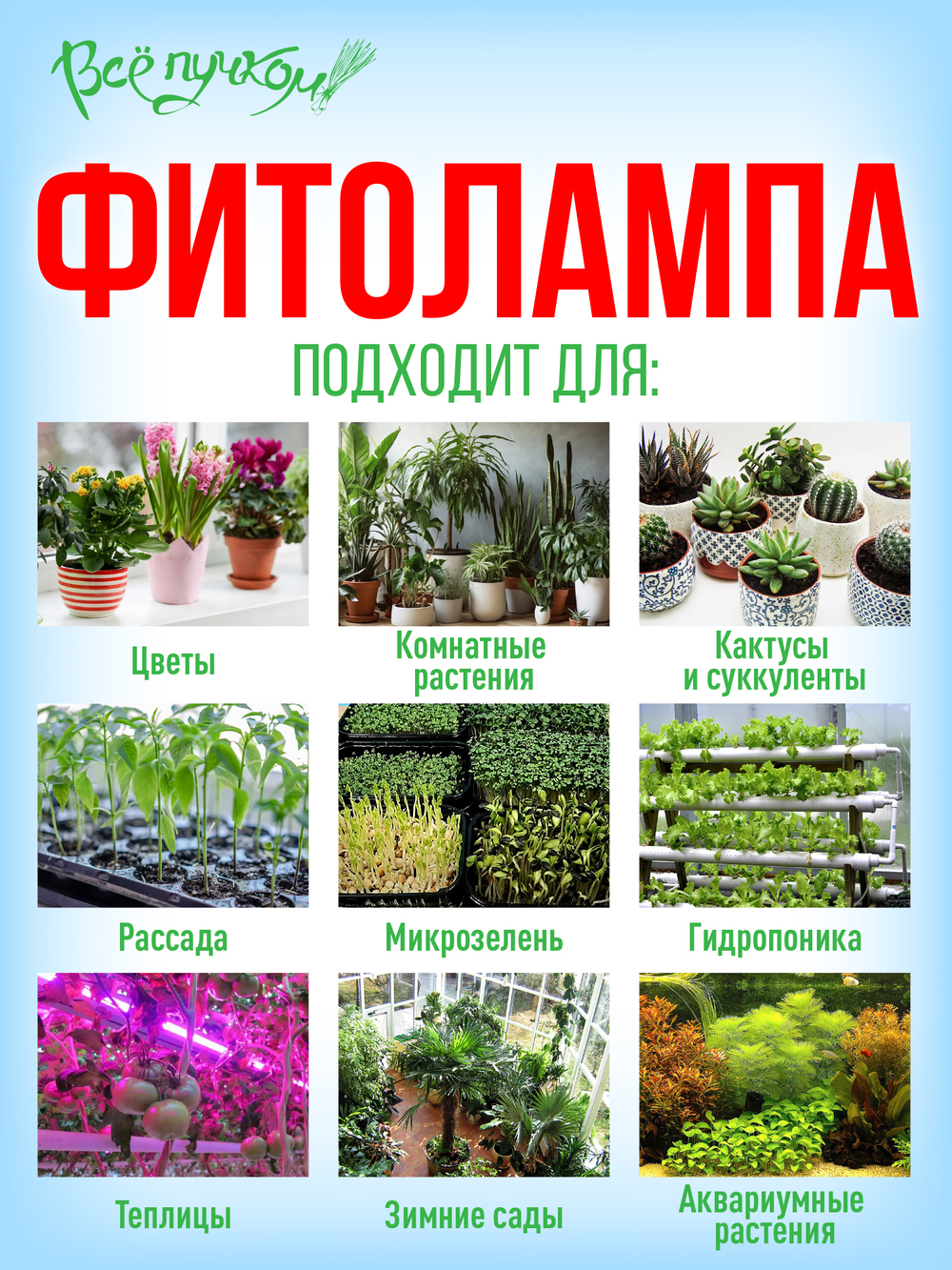 Фитолампа полный спектр