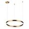 Подвесной светодиодный светильник Lumion Ledio Echo 6531/34L