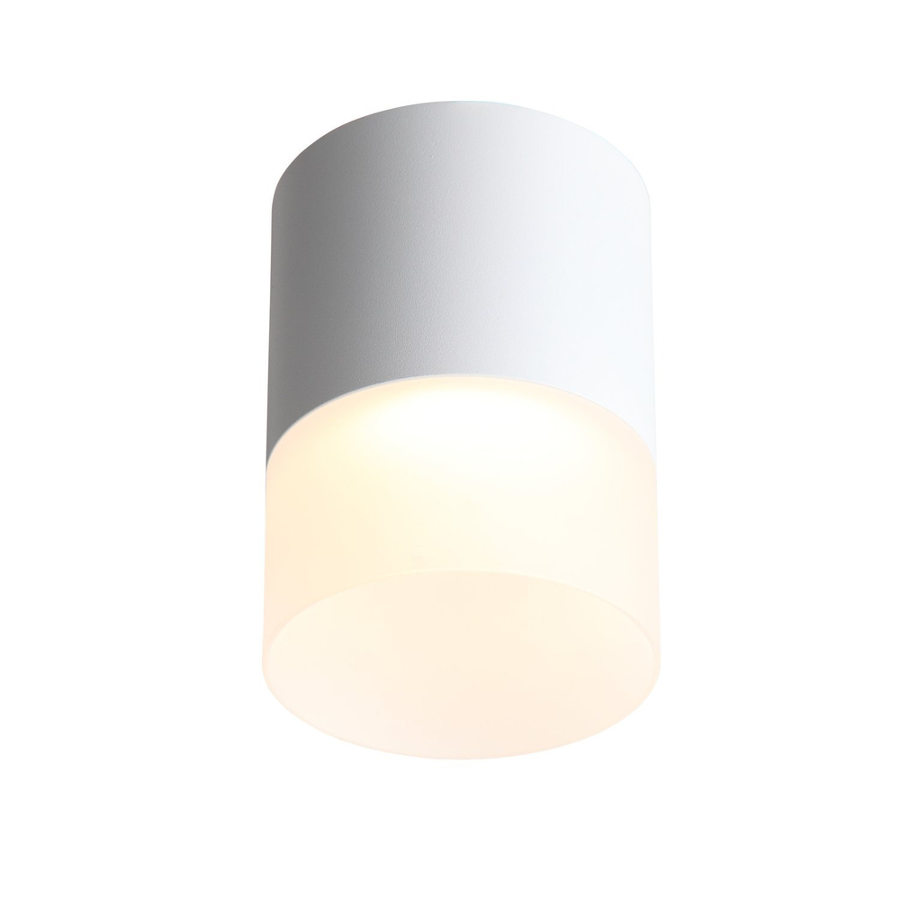 ST100.502.15 Светильник потолочный Белый LED 1*15W 3000K 1 170Lm Ra&gt;80 120° D118xH150 170-240V Накладные светильники