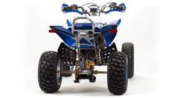 Квадроцикл MOTOLAND 250 Dakar