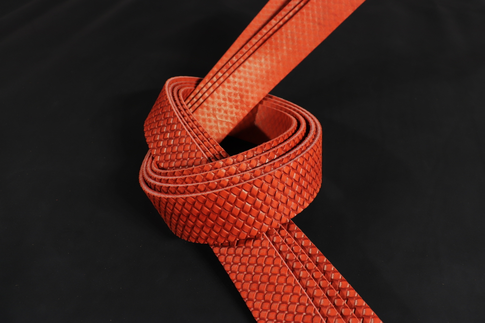 Ременная заготовка Красная + Плита Симметрия