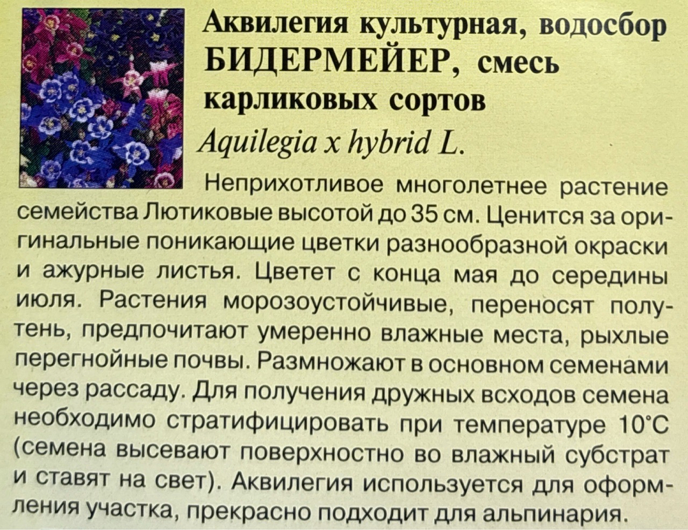Аквилегия Бидермейер 0,1 г СМЦ-357