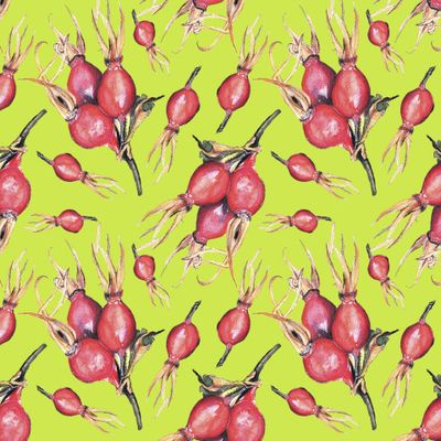 Яркий шиповник.