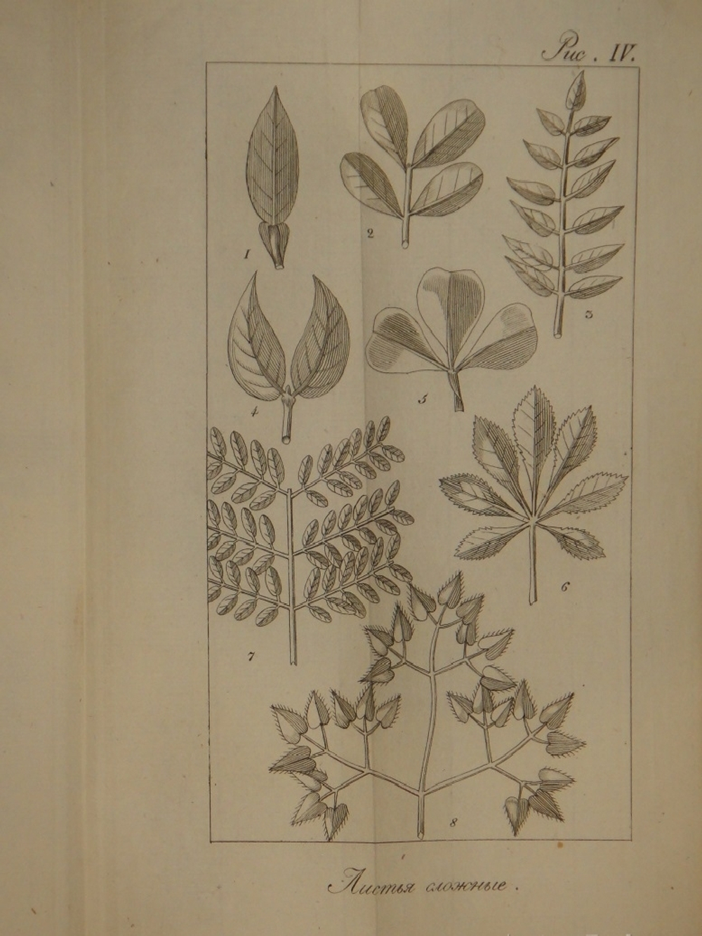 "Основание ботаники и физиологии растений. В 2-х частях". Сочинение А.Ришара. 1837г.