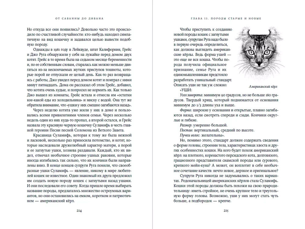 От саванны до дивана