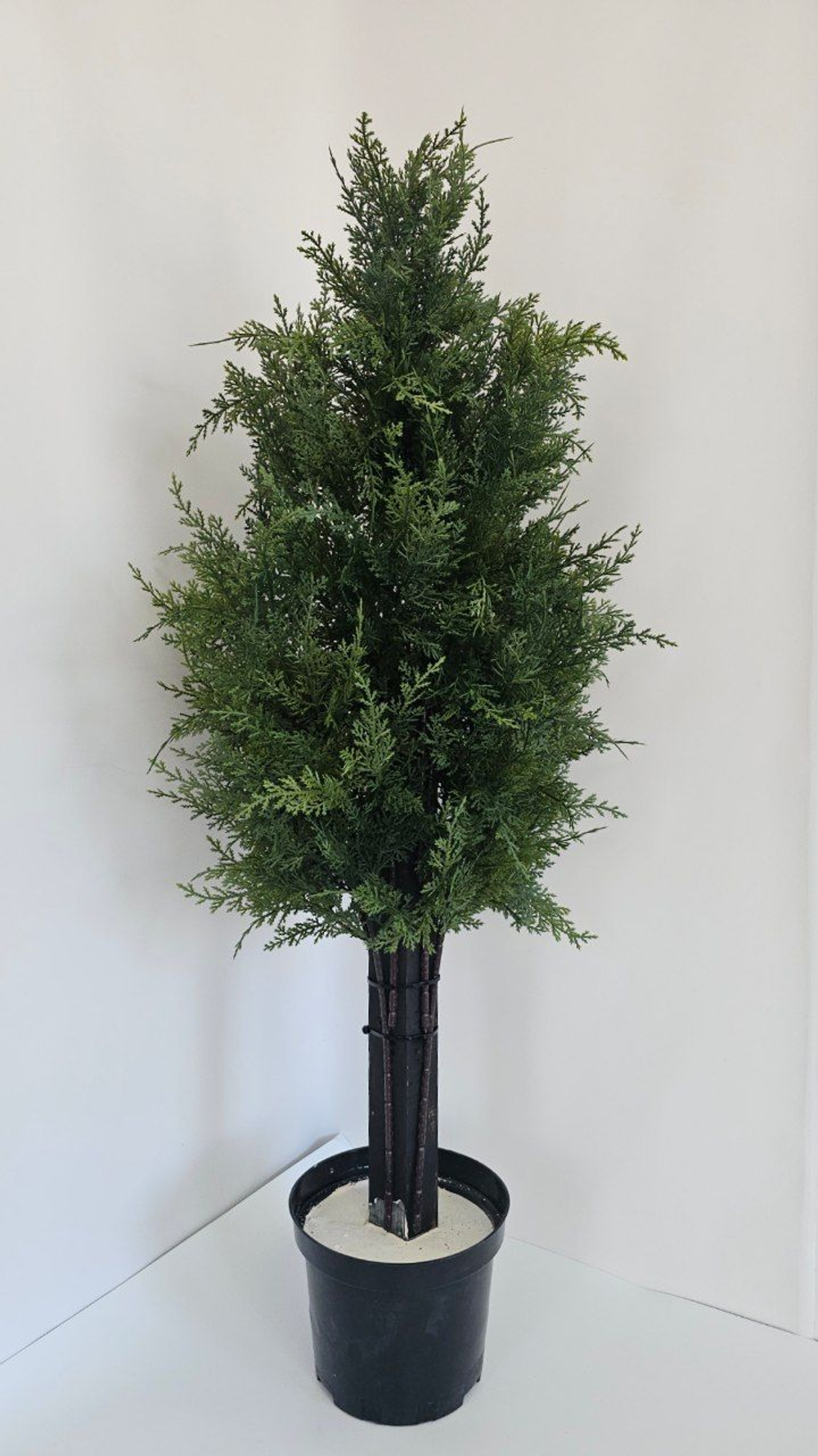 Ветка туи / Арт 5135