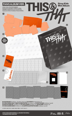 Альбом Stray Kids —  “THIS & THAT” [Fans Album version]