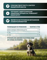 Vita+ мультивитаминное лакомство для щенков и молодых собак Здоровый малыш, 90 таблеток