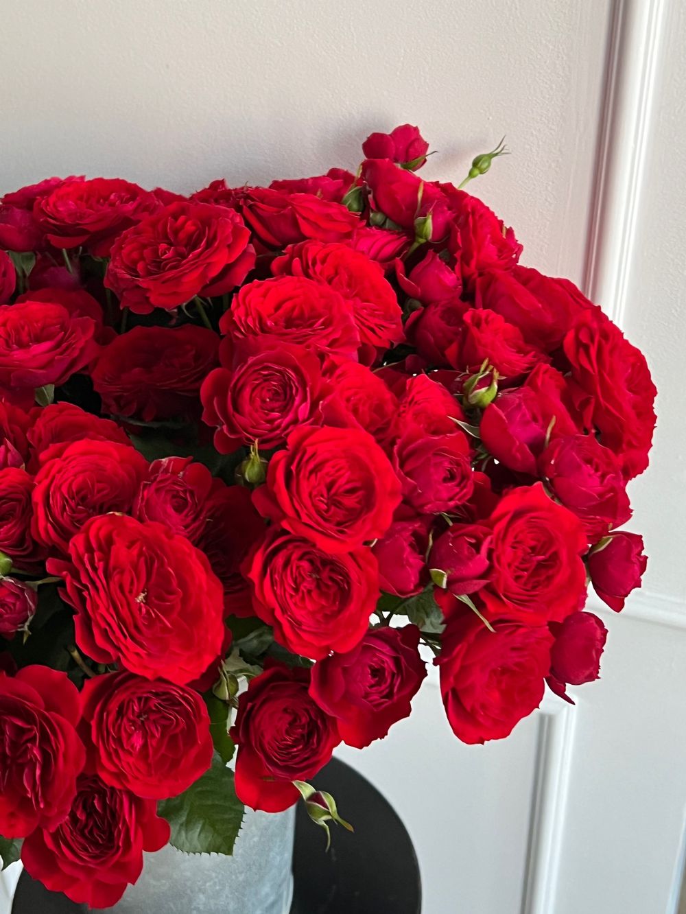 Пионовидная кустовая роза в красном оттенке