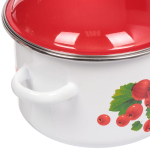 Набор эмалированной посуды 6 пр, кастрюли 2,3,4 л, Сиб товары, Калина красная 15, N15BY84/N15B84