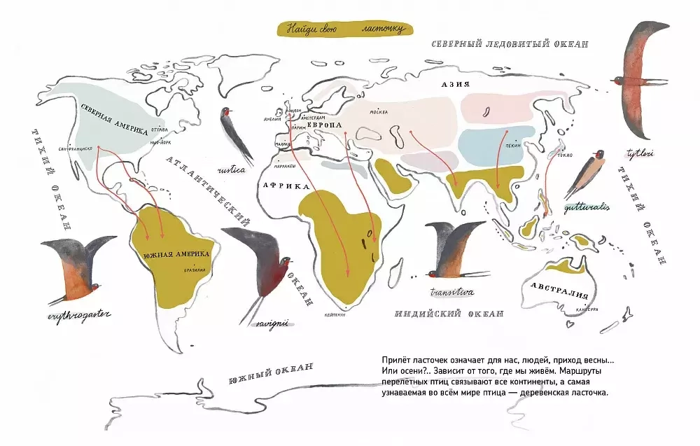 На крыльях над Землей: дневник ласточки