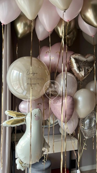 Выписка из роддома ДЕВОЧКА 017